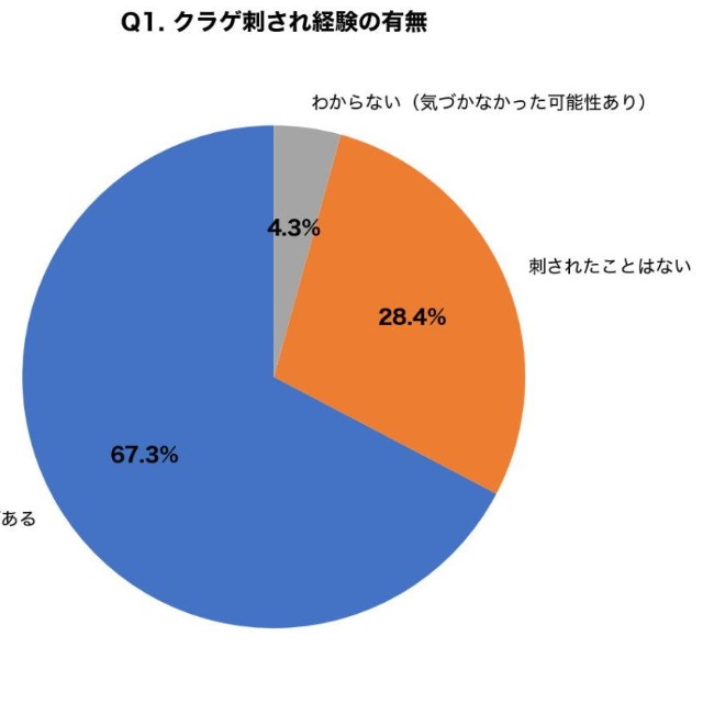 海水浴中にクラゲに刺された経験がありますか？（提供画像）