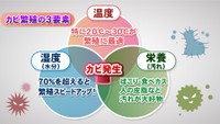 梅雨の季節…お手軽「カビ対策」を紹介【くらしのアイデアパーク】