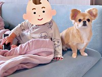 人間も犬も大好き。弟にそっと寄り添うハナちゃん（画像提供：うわうわ犬のハナさん）