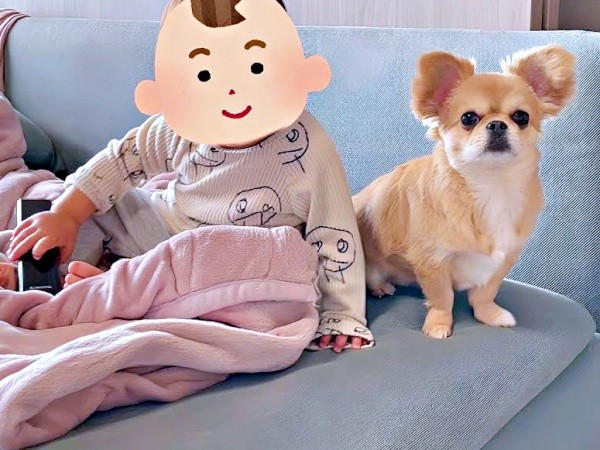 人間も犬も大好き。弟にそっと寄り添うハナちゃん（画像提供：うわうわ犬のハナさん）