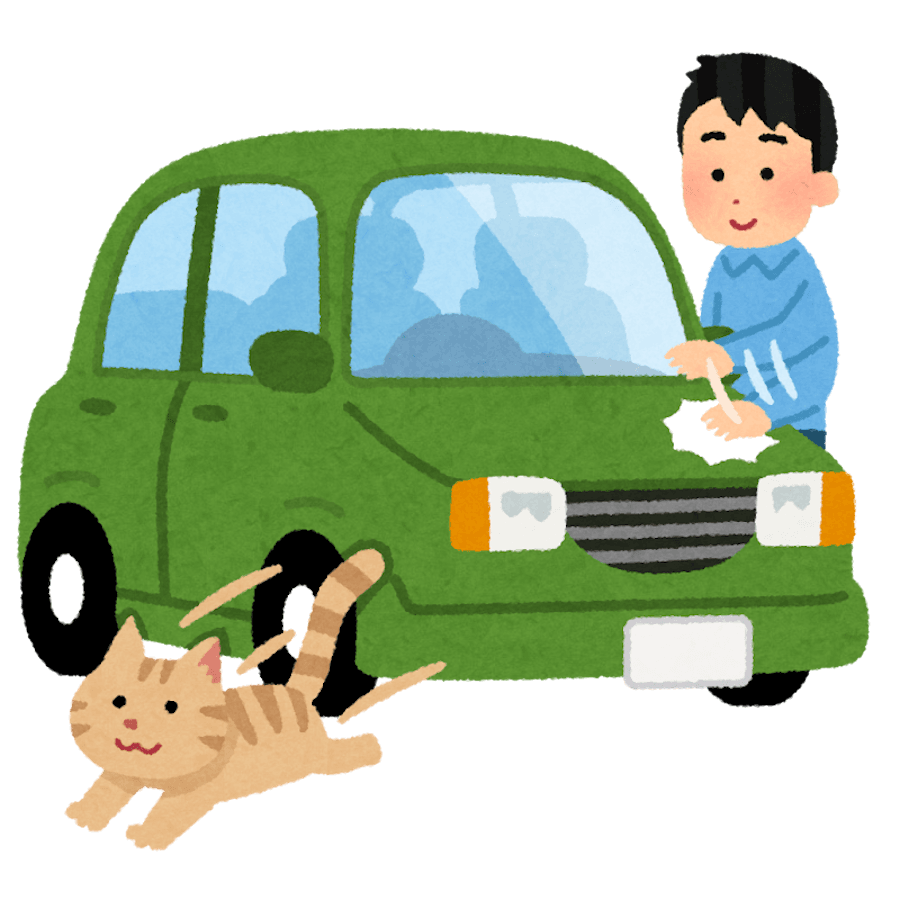 「猫バンバン」では事故は防ぎきれない。「猫が外にいる状態」をなくすことが肝心