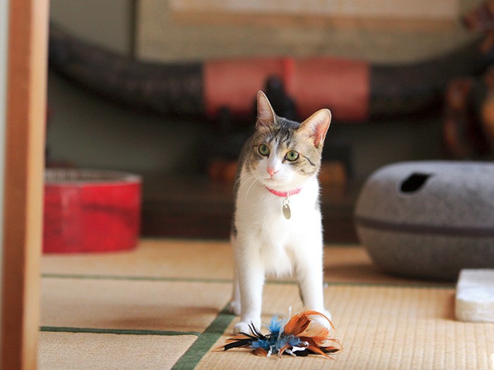 もう終わり？の顔