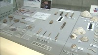 貝や珍しい土器などを展示　縄文時代の史跡「彦崎貝塚」で漂着物の企画展　岡山市