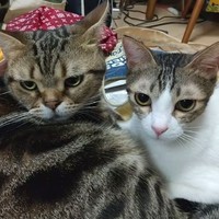 大好きな兄貴分、レオンくんと