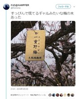 話題となったれお＠ＫＡＭＰＦＥＲさんの投稿（れお＠ＫＡＭＰＦＥＲさん提供）