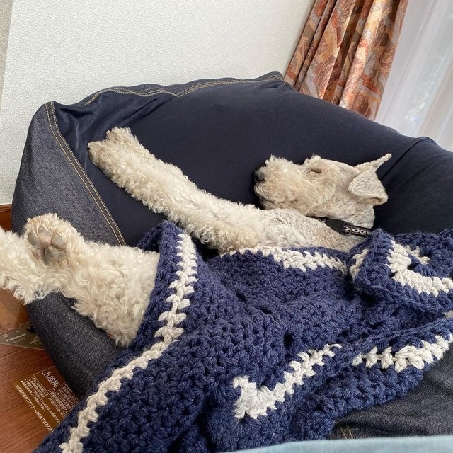 安心して眠る姿は幸せの証