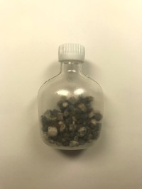 小石はラムネが入っていたケースに入れているそう（ネルノダイスキさん提供）