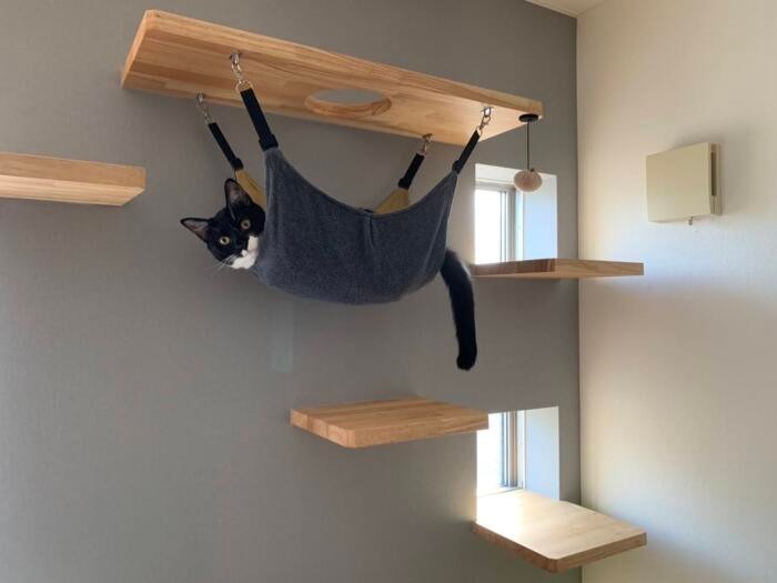 猫と建築社の施工例。キャットステップの間隔のアドバイスもしてくれる（提供：猫の建築社）