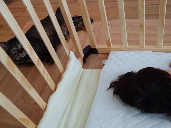 外からじっと見守るモモ