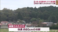 宮城県でクマの目撃相次ぐ　大和町の住宅敷地内でクマ１頭捕獲　周辺で親子とみられるクマ目撃