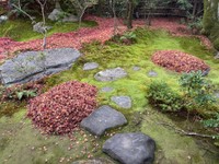 箒で落ち葉を掃き集めます（画像提供：高台寺岡林院）