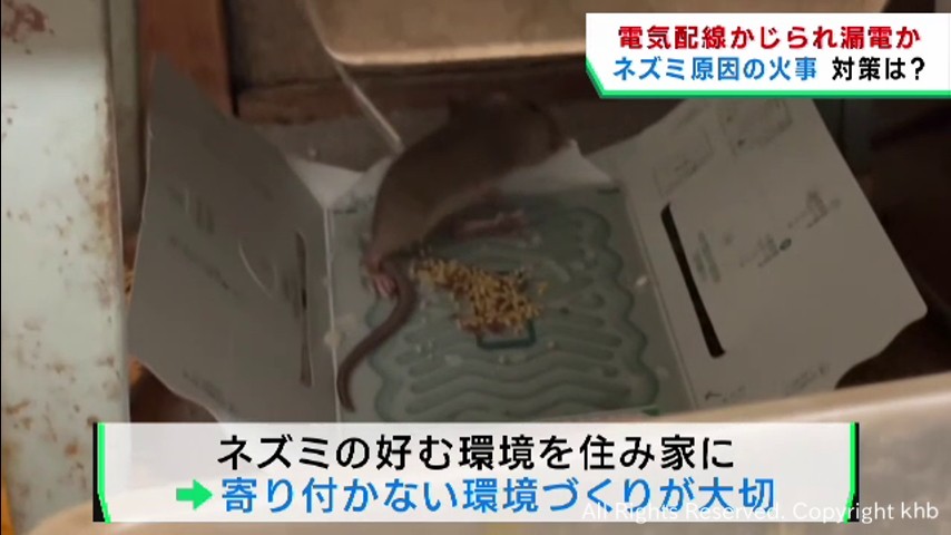 ネズミが配線をかじって漏電し火事に　ネズミ被害の対策を聞く