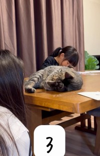 目の前にいたお姉ちゃんが…（「yuka.yu.mugi」さん提供、Instagramよりキャプチャ撮影）
