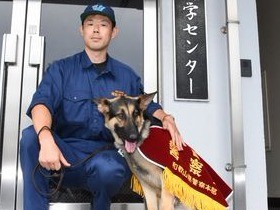 シェパード訓練中　危険な現場にも出動する「直轄警察犬」