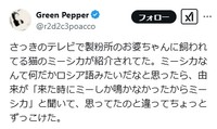 Green Pepperさん（@r2d2c3poacco）のＸ