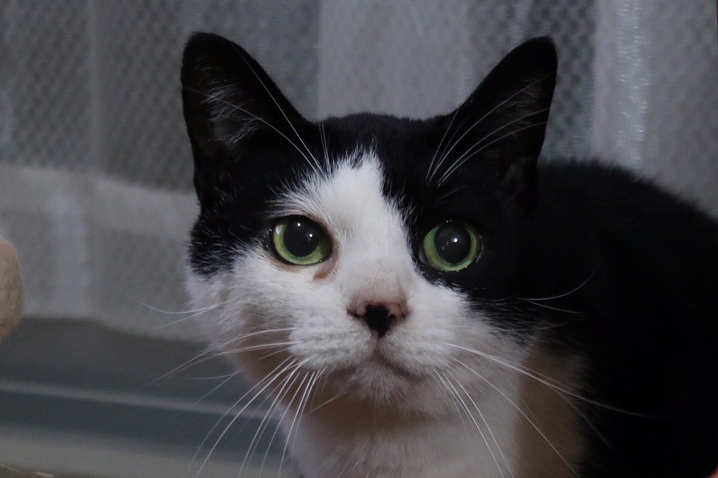 eaf3ece027d10bd3388fc795c87931