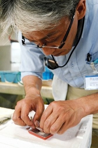 人工授精に取り組む佐々木興さん（資料）