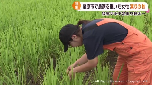 猛暑と水不足に直面