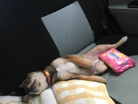 営業活動でお疲れのご様子