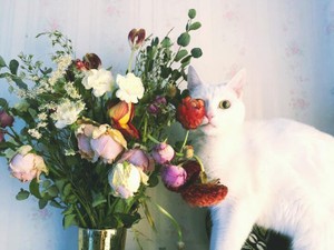 フェスで出会った彼に恋に落ちた。でも、私たちの関係には「名前がない」ままだった