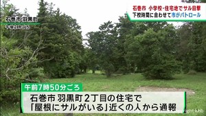 小学校近くや住宅地でまたもサルの目撃情報が相次ぐ　宮城・石巻市