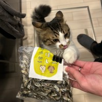 「おやつを催促するほたて」（提供：ほたてくんさん）