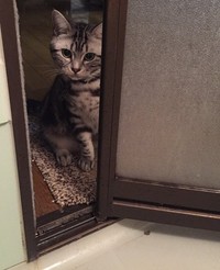 お風呂の出待ち中