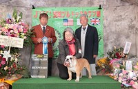 2026年1月25日・JKC茨城ブルドッグクラブ展（画像提供：大塚さん）