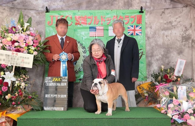 2026年1月25日・JKC茨城ブルドッグクラブ展（画像提供：大塚さん）