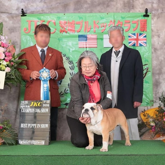 2026年1月25日・JKC茨城ブルドッグクラブ展（画像提供：大塚さん）
