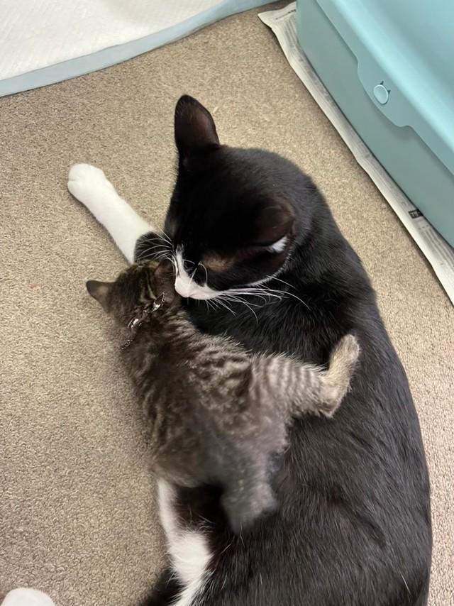 ロイ常務と社員のレオ