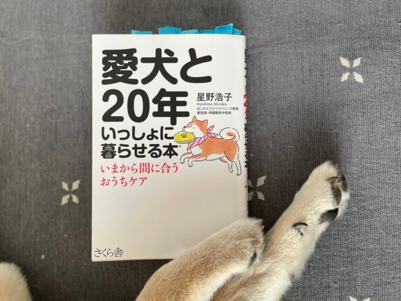 覚えておきたい＆おさえておきたいところが多く、付箋だらけになりました