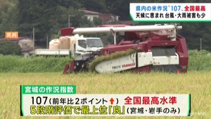 宮城県は「１０７」　全国で最も高い水準の米の作況指数