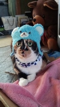 被り物をかわいく着こなしてくれた時