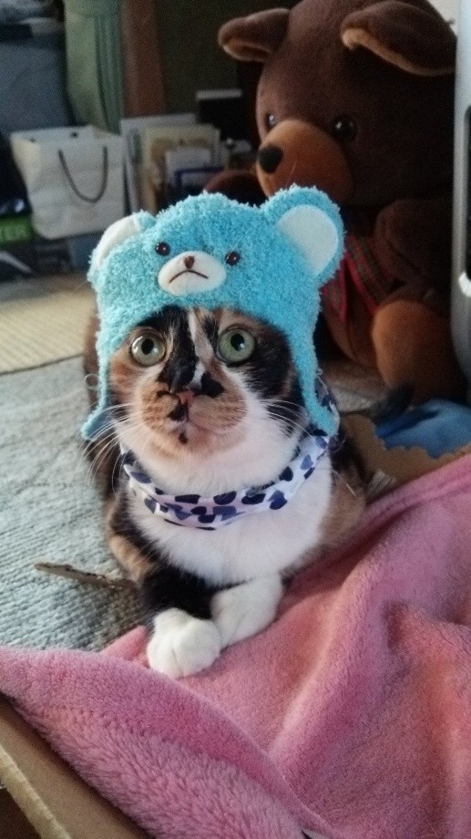 被り物をかわいく着こなしてくれた時