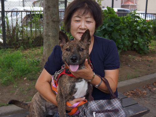 写真で見初めた保護犬とまさかの出会い　じゃじゃ馬も愛らしく
