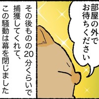 業者により約20分で捕獲完了（ゆうさん提供）