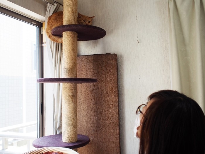 鳴き声に気づいてくれた高橋さんと久しぶりの再会