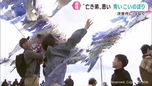 亡き弟へ思い　大空を舞う約６００匹の青いこいのぼり　宮城・東松島市