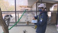 渋川動物公園（岡山・玉野市渋川）