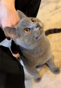 楽しいことがいっぱいにゃ〜！＝おいでやすブリオさん（@burio0522）提供