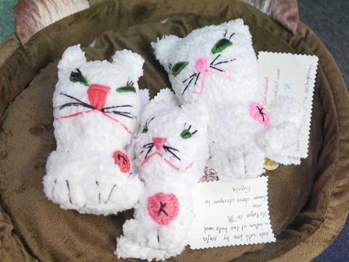 １匹ずつに、メッセージカードが添えられる