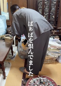 祖母宅を掃除する中で「恨み」の気持ちがどう変化していったのか（提供：はちさん）