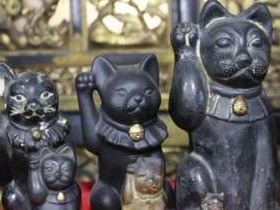 福を呼ぶ「黒い招き猫」　最古の招き猫伝説の寺　京都