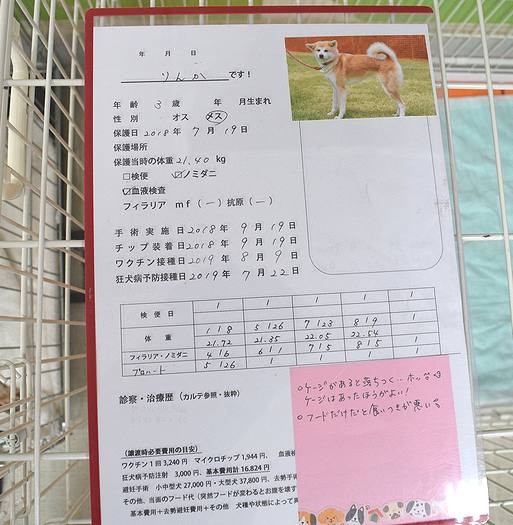 ケージには犬の特徴を記したカードが添えられている＝アニマルハートレスキューで