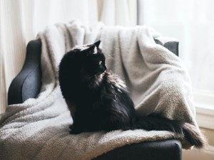 あの時、窓を開けなかったら。君との最後の瞬間を思い出せないんだ