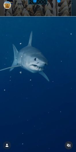 NY沖で巨大ザメ、核廃棄物による突然変異体の可能性→シャーク＋ゴジラ