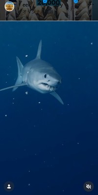 ディスカバリー・チャンネル「シャーク・ウィーク」のインスタグラム＠sharkweekより