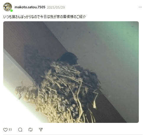 ゴールデンウィークに別の場所に作られたツバメの巣／佐藤誠さん（@makoto.satou.7505）提供