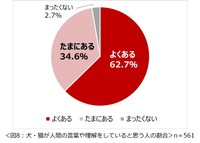 犬や猫が人間の言葉や想いを理解していると思うことはありますか（提供画像）